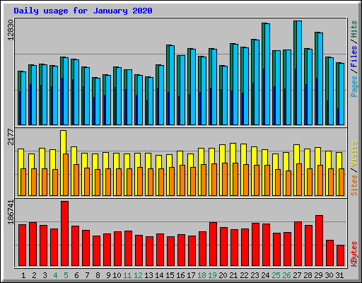 Daily usage for January 2020