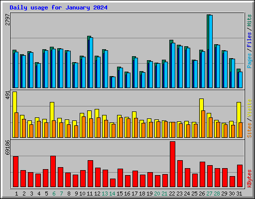 Daily usage for January 2024