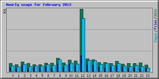 Hourly usage for February 2013