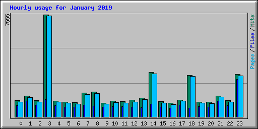 Hourly usage for January 2019