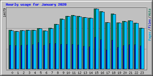 Hourly usage for January 2020