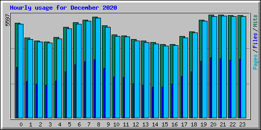 Hourly usage for December 2020