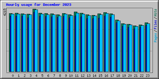 Hourly usage for December 2023