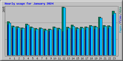 Hourly usage for January 2024