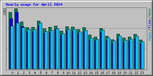 Hourly usage for April 2024