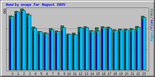 Hourly usage for August 2025