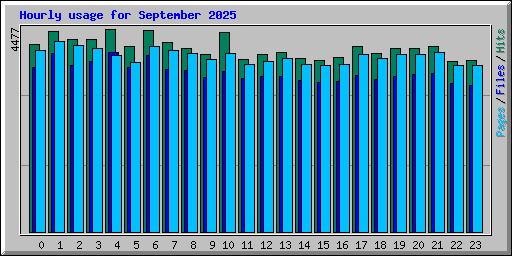 Hourly usage for September 2025