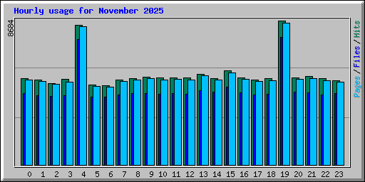 Hourly usage for November 2025