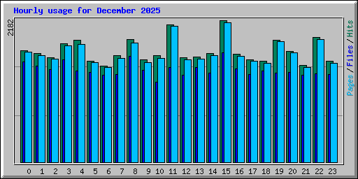 Hourly usage for December 2025