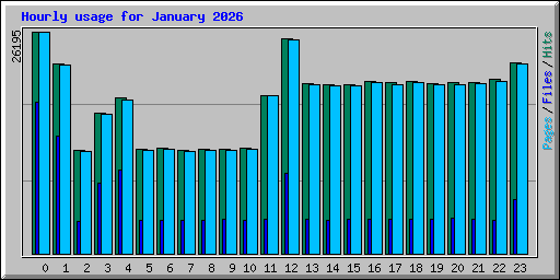 Hourly usage for January 2026