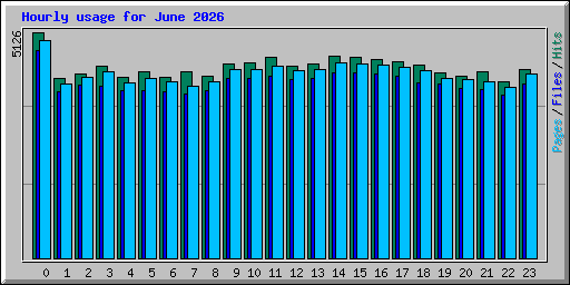 Hourly usage for June 2026